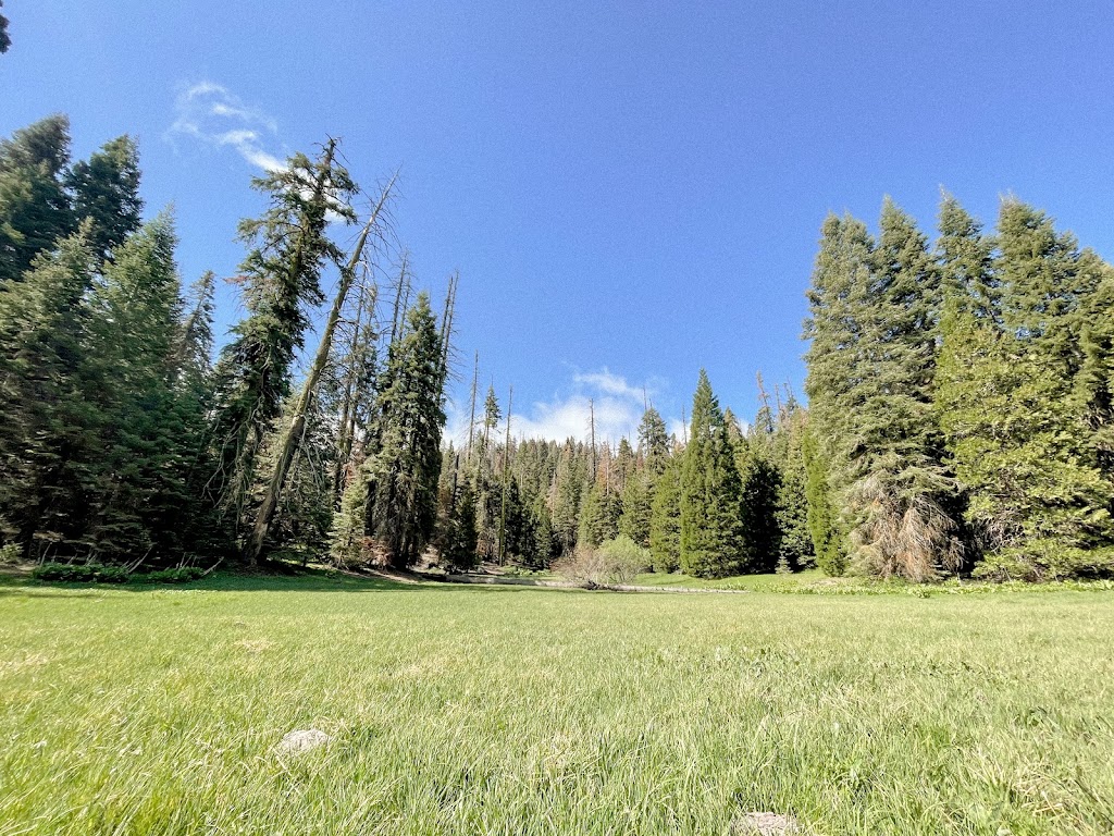 Holey Meadow (recgovnpsdata) | Camp Nelson, CA 93208, USA | Phone: (559) 539-5230