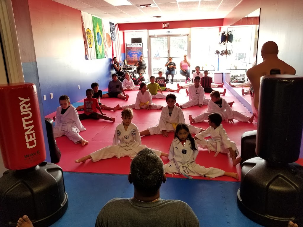 Budokan Karate USA | Abundant Life Ministries, 1550 S Belcher Rd, Largo, FL 33771, USA | Phone: (813) 230-5995