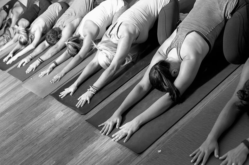 Pure Power Yoga Studio | 4898 Campbells Run Rd, Pittsburgh, PA 15205, USA | Phone: (412) 306-3777