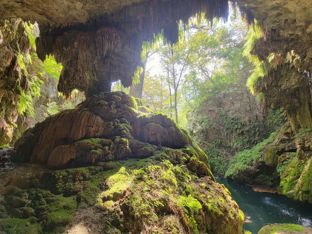 Westcave Outdoor Discovery Center | 24814 Hamilton Pool Rd, Round Mountain, TX 78663 | Phone: (830) 825-3442