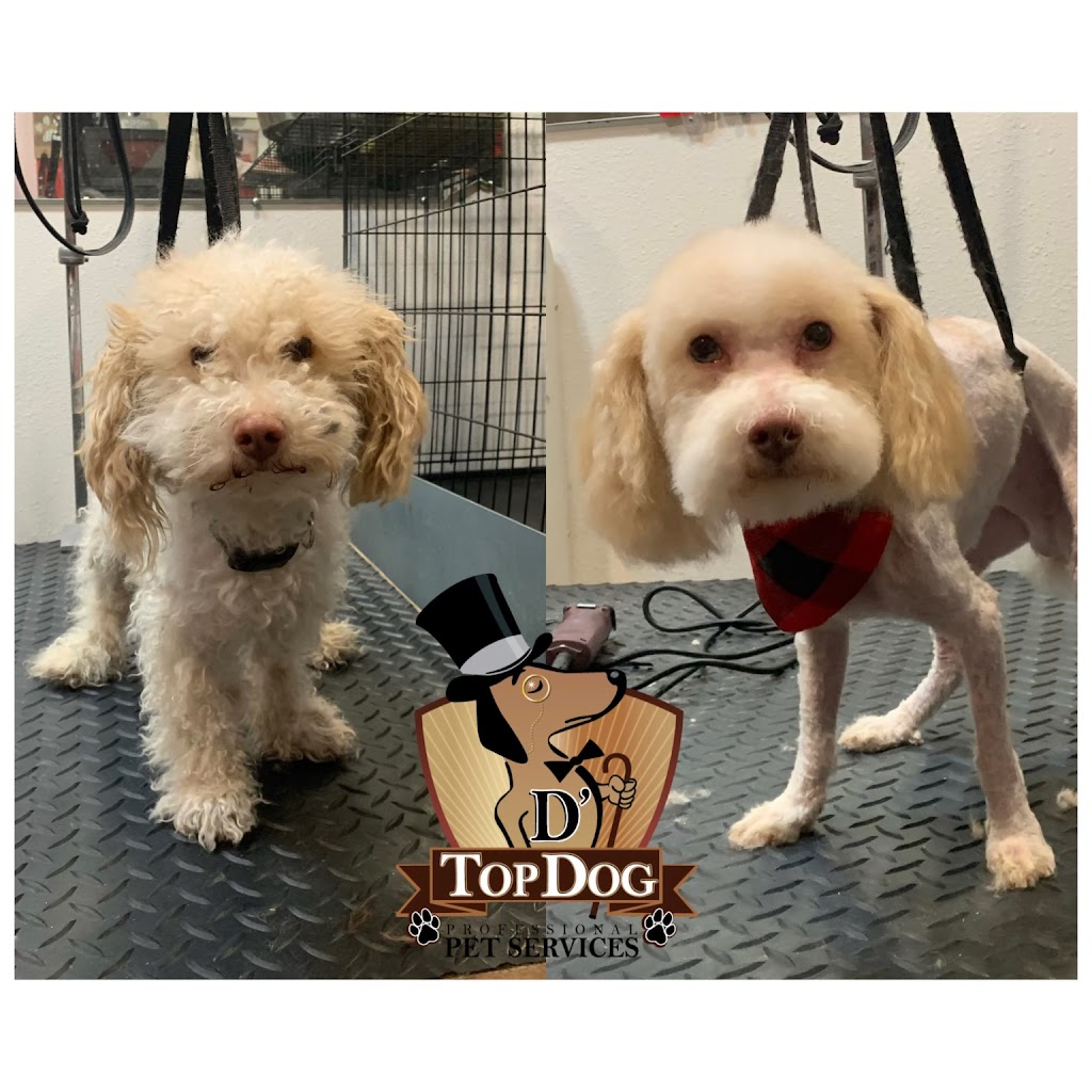 D ‘ Top Dog Professional Pet Services | 4000 Pioneer Rd suite 208A Suite 208A, Balch Springs, TX 75180, USA | Phone: (214) 447-8280