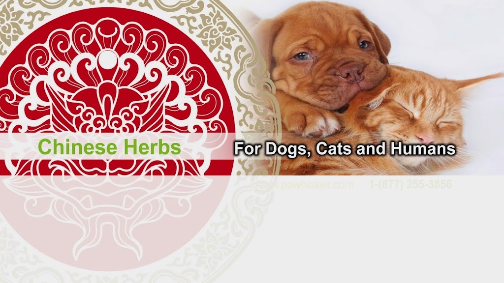 PawHealer® | 2466 Royal Oak Dr, Escondido, CA 92027, USA | Phone: (877) 255-3856 PawHealer® | 2466 Royal Oak Dr, Escondido, CA 92027, USA | Phone: (877) 255-3856