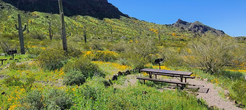 Sunset Vista Trail Head | Sunset Vista Trail, Picacho, AZ 85141, USA | Phone: (877) 697-2757