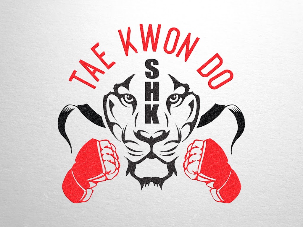 SHK Taekwondo | 393 Lexington Ave, Clifton, NJ 07011, USA | Phone: (201) 380-1115