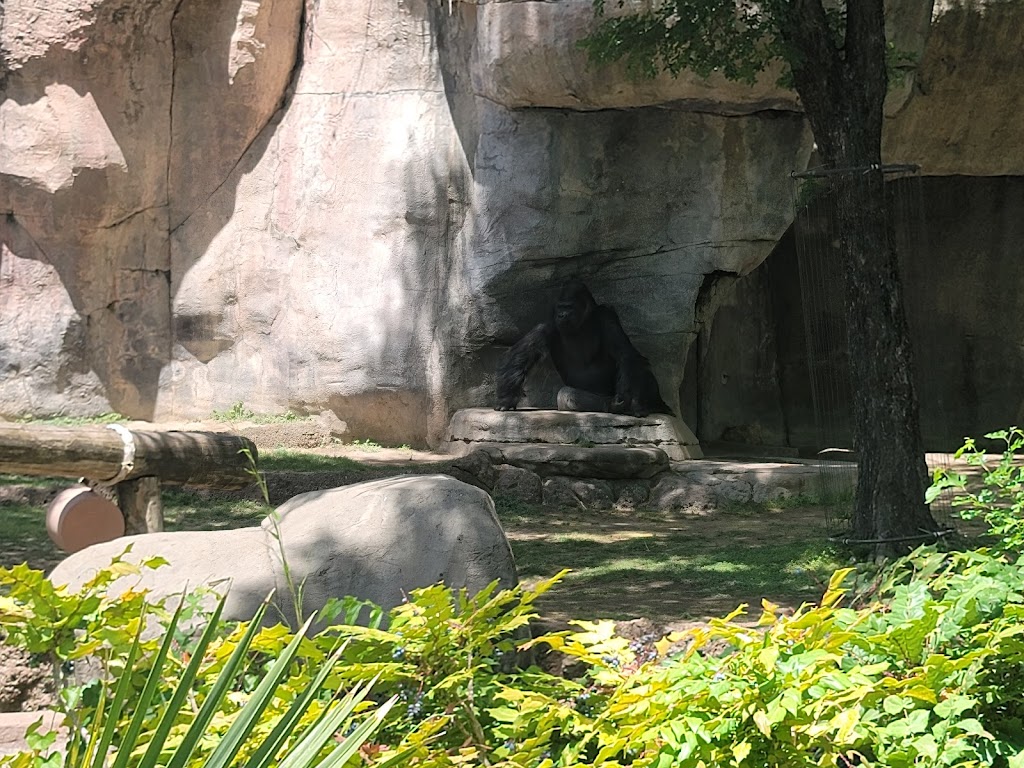 Ticket Booth at Fort Worth Zoo | Fort Worth, TX 76109, USA | Phone: (817) 759-7555