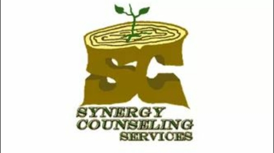 Synergy Counseling Services, LLC | 33300 Warren Rd #19, Westland, MI 48185, USA | Phone: (734) 799-7351