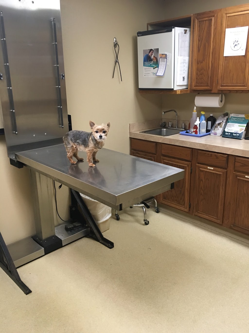 Mulvane Animal Clinic | 10231 S Rock Rd, Mulvane, KS 67110, USA | Phone: (316) 777-4283