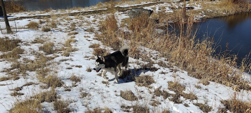 Westminster Station Pond | R0100116, Denver, CO 80221, USA | Phone: (303) 658-2400 Westminster Station Pond | R0100116, Denver, CO 80221, USA | Phone: (303) 658-2400