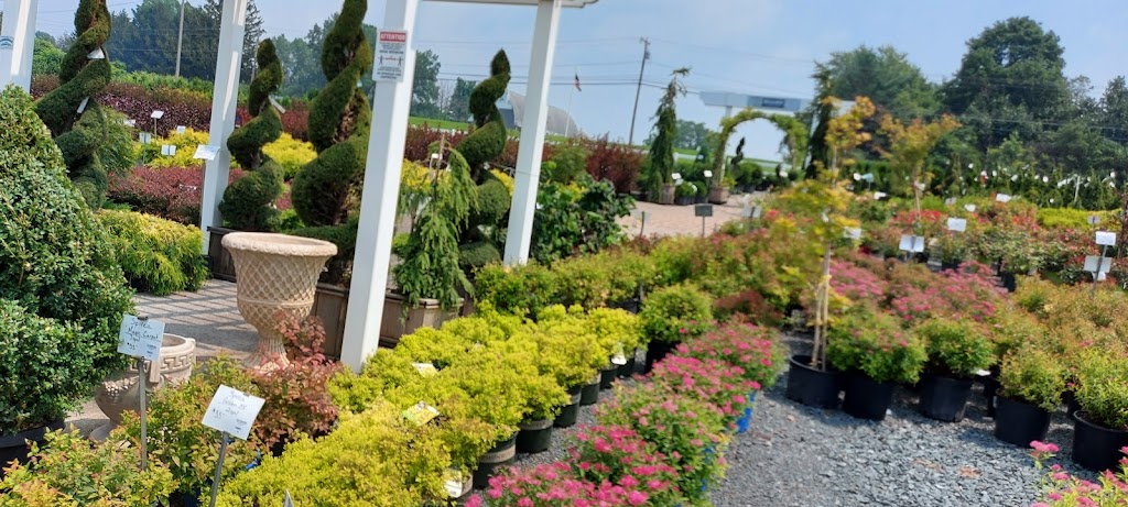 Troys Landscape Supply | 1266 Loudon Rd, Cohoes, NY 12047, USA | Phone: (518) 785-1526