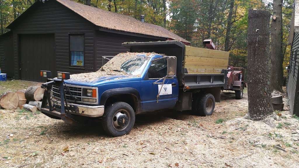 Timberwolf Tree Service | 111 Beard Rd, Delanson, NY 12053, USA | Phone: (845) 443-5582