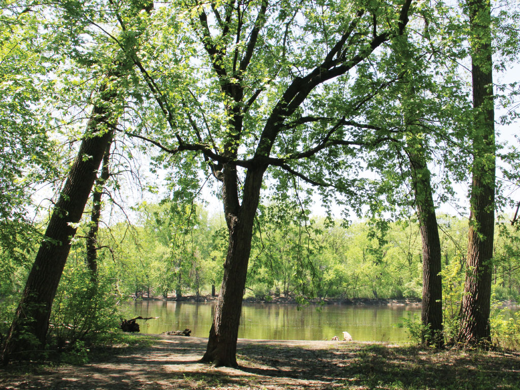 Anoka County Parks | 550 Bunker Lake Blvd, Andover, MN 55304, USA | Phone: (763) 757-3920