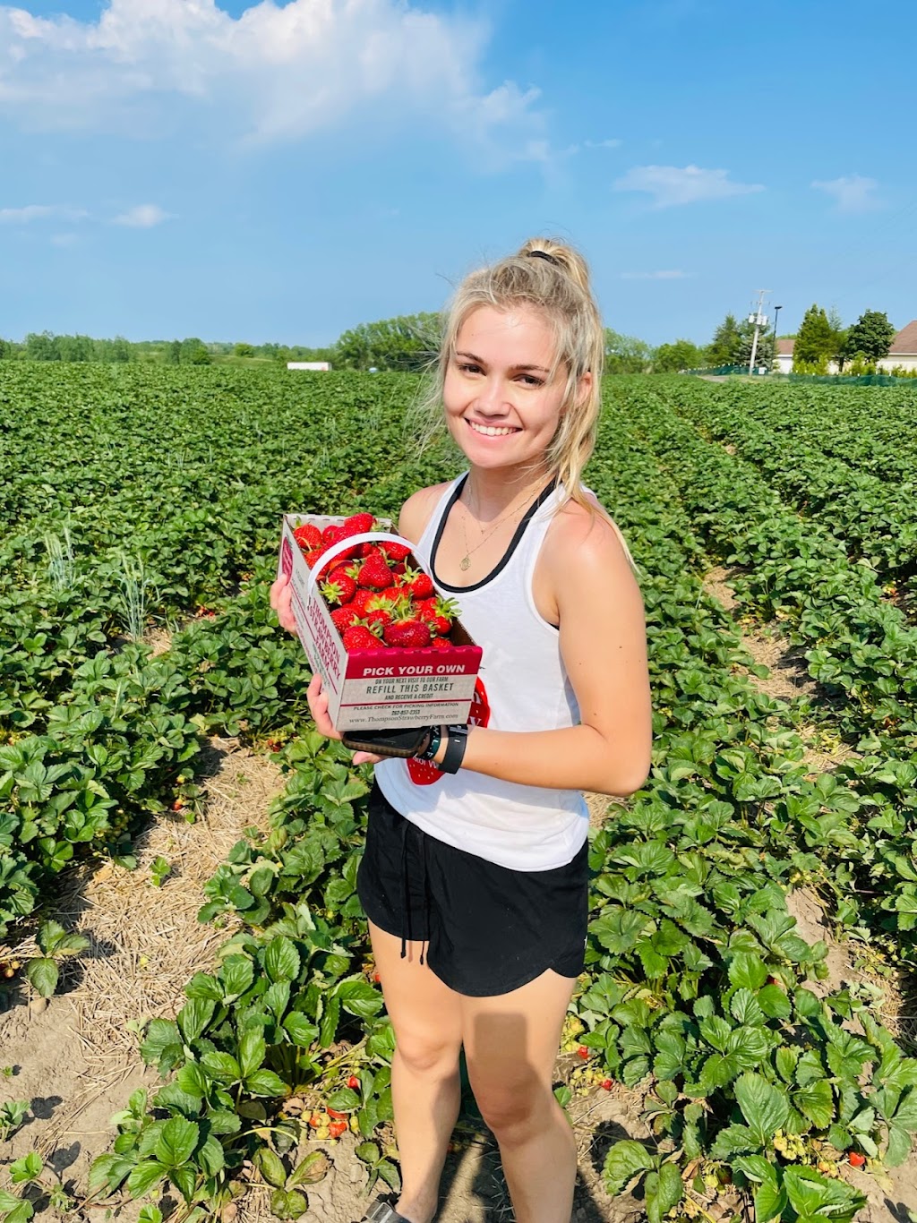 Thompson Strawberry Farm | 14000 75th St, Bristol, WI 53104, USA | Phone: (262) 857-2353