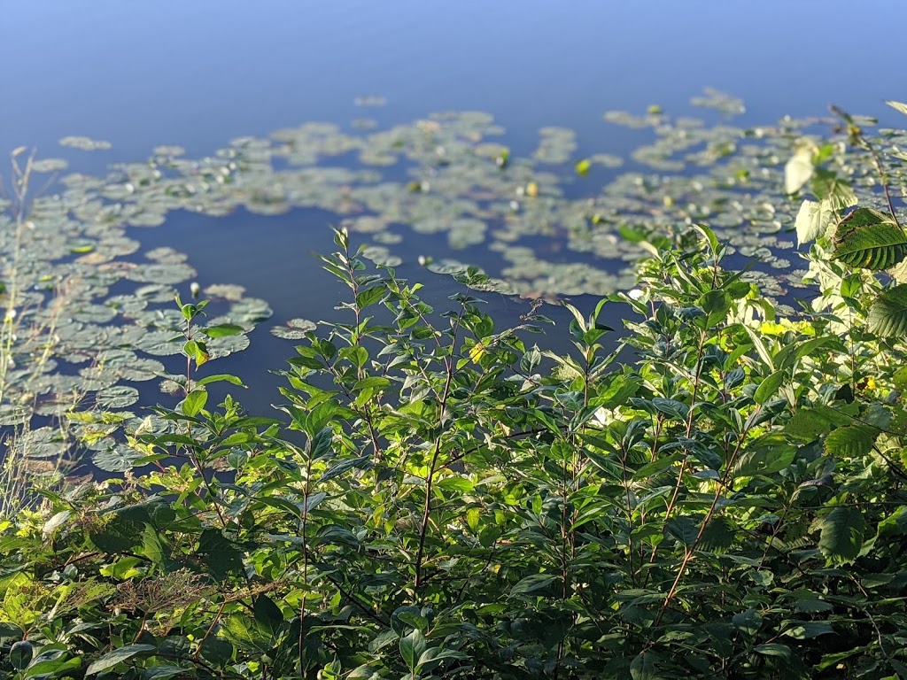 Cleary Lake Regional Park | 18106 Texas Ave, Prior Lake, MN 55372, USA | Phone: (763) 694-7777