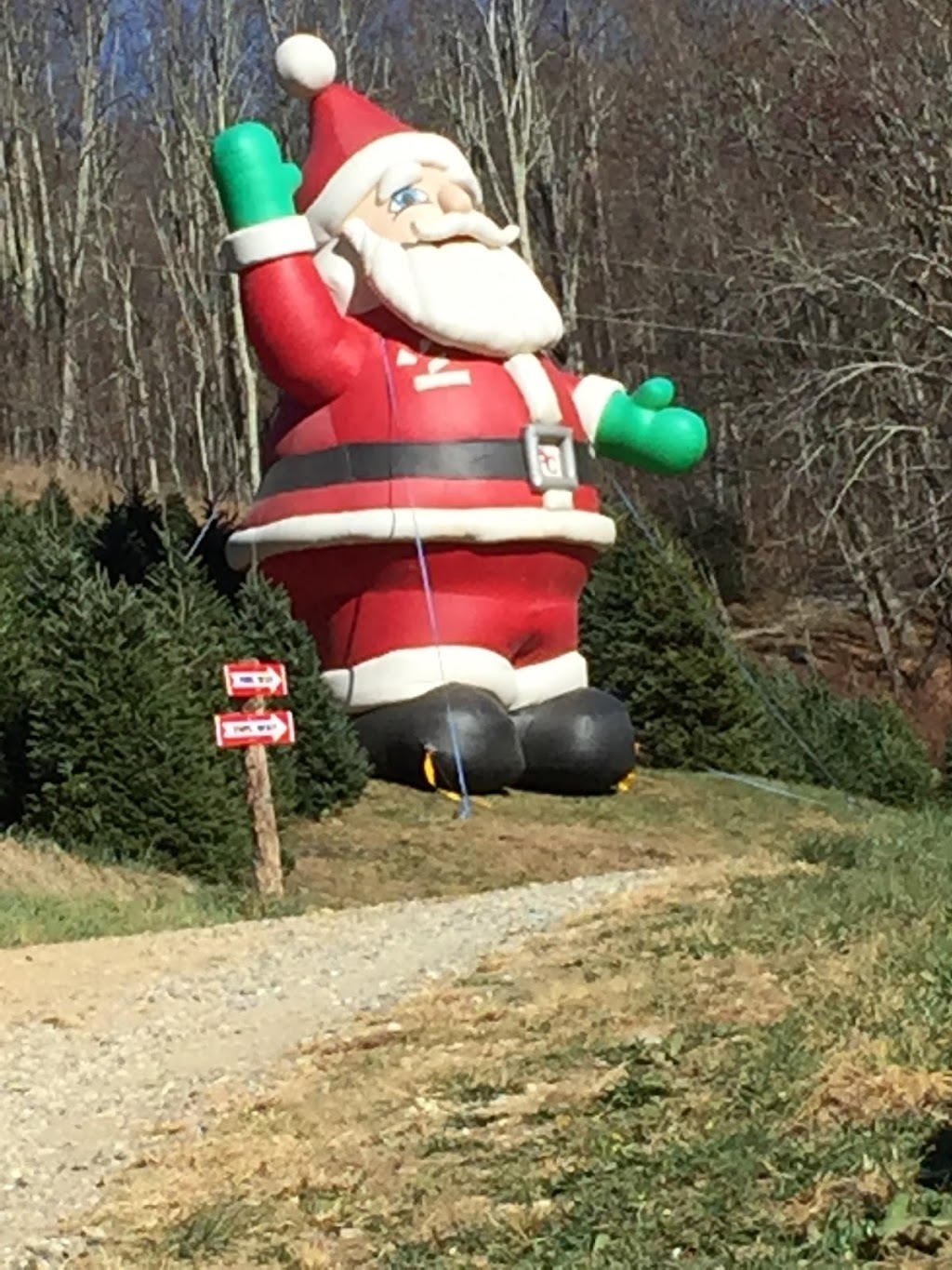 Clements Lawn Service & Christmas Tree Delivery | 304 Eastside Rd, Burns, TN 37029, USA | Phone: (615) 829-9188
