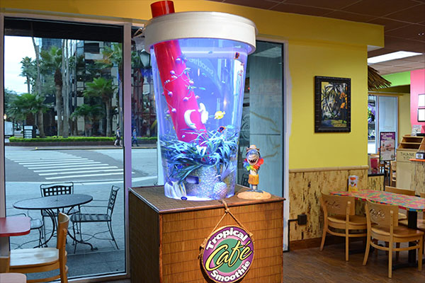 Tampa Aquarium Service | 4605 Reece Rd, Plant City, FL 33566, USA | Phone: (813) 486-4798