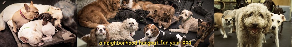 Playground Pups | 664-668 Amsterdam Ave, New York, NY 10025, USA | Phone: (212) 362-5221