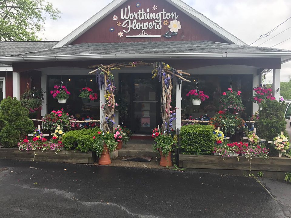 Worthington Flowers | 125 W Sand Lake Rd, Wynantskill, NY 12198, USA | Phone: (518) 283-2101