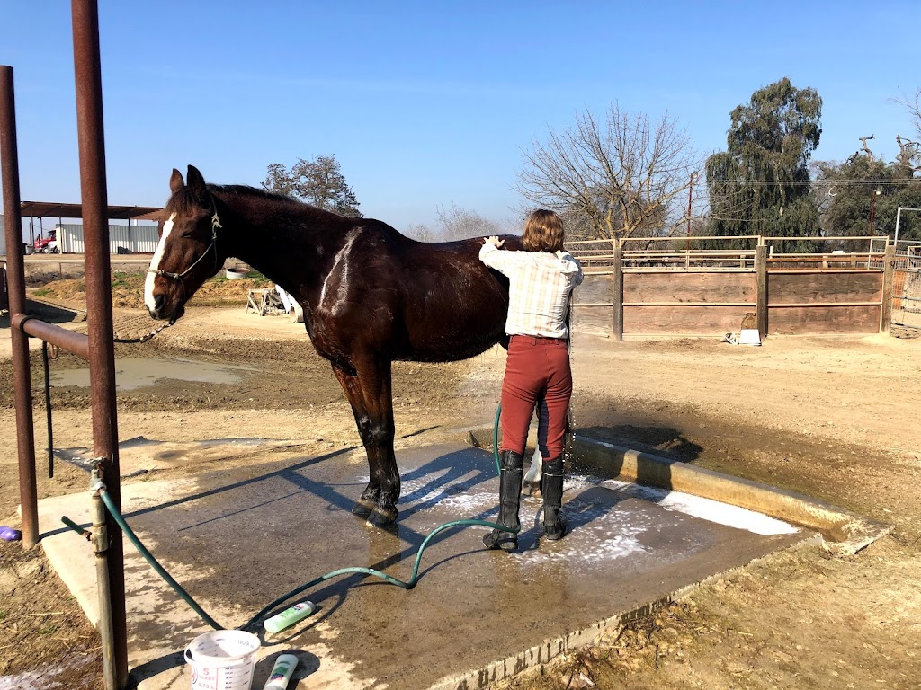 Circle T Ranch | 20010 Fargo Ave, Lemoore, CA 93245, USA | Phone: (559) 288-9537