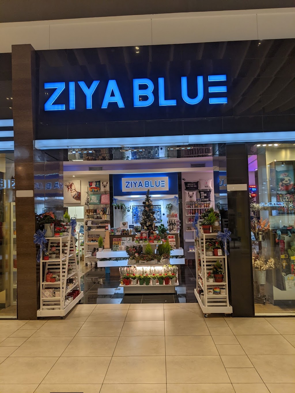 Ziya Blue | 221 Glendale Ave Unit #33, St. Catharines, ON L2T 2K9, Canada | Phone: (289) 273-2146