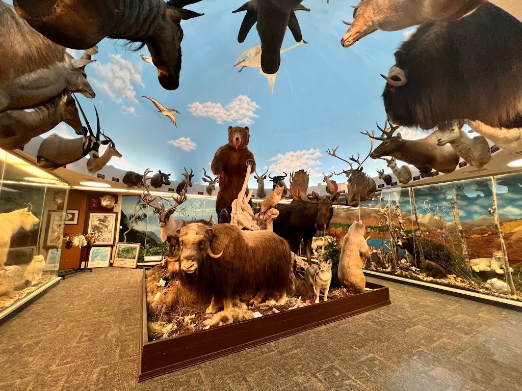 Museum of Natural History | 55-220 Kulanui St, Laie, HI 96762, USA | Phone: (808) 675-3816