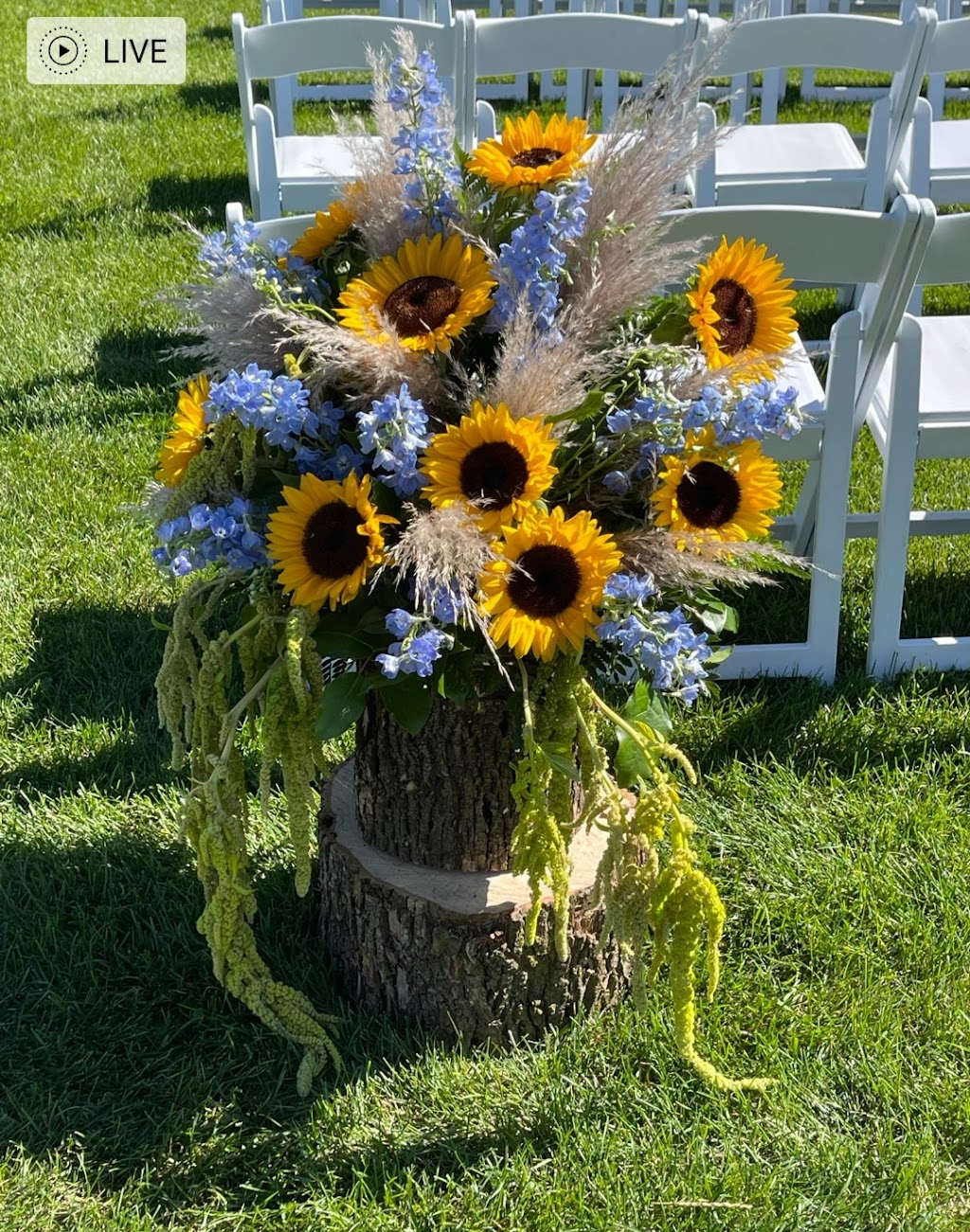 Flowers of the Lakes | 2825 E Highland Rd, Highland Charter Twp, MI 48356, USA | Phone: (248) 698-8400