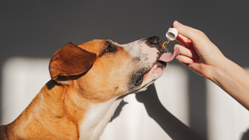 Future Farm Hemp | 1750 8th Ave, Baldwin, WI 54002, USA | Phone: (715) 688-4648