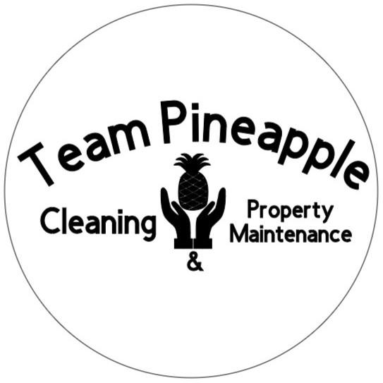 Team Pineapple Cleaning & Property Maintenance | 13409 Teaberry Ln, Spring Hill, FL 34609, USA | Phone: (352) 428-2378