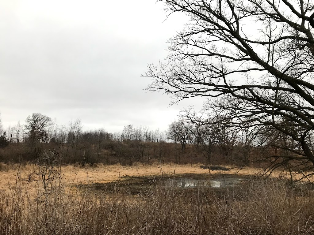 Patrick Marsh Wildlife Area | Stein Rd, Sun Prairie, WI 53590, USA | Phone: (608) 258-9797