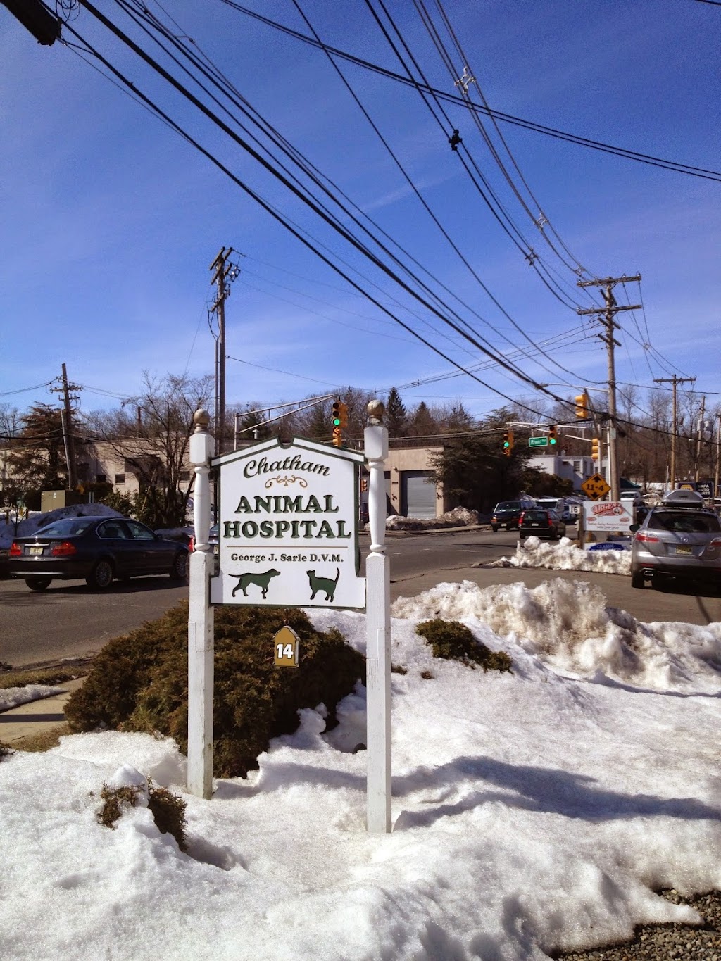 Chatham Animal Hospital | 14 Watchung Ave, Chatham, NJ 07928, USA | Phone: (973) 635-4994