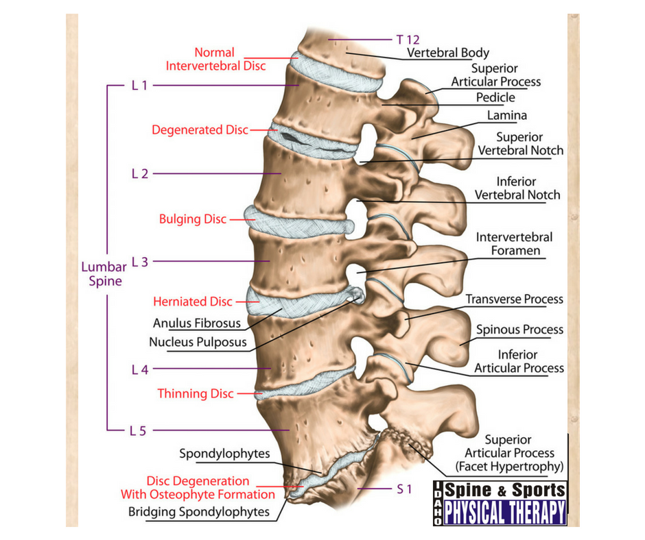 Idaho Spine and Sports Physical Therapy Meridian | 2316 S Eagle Rd, Meridian, ID 83642, USA | Phone: (208) 286-2707