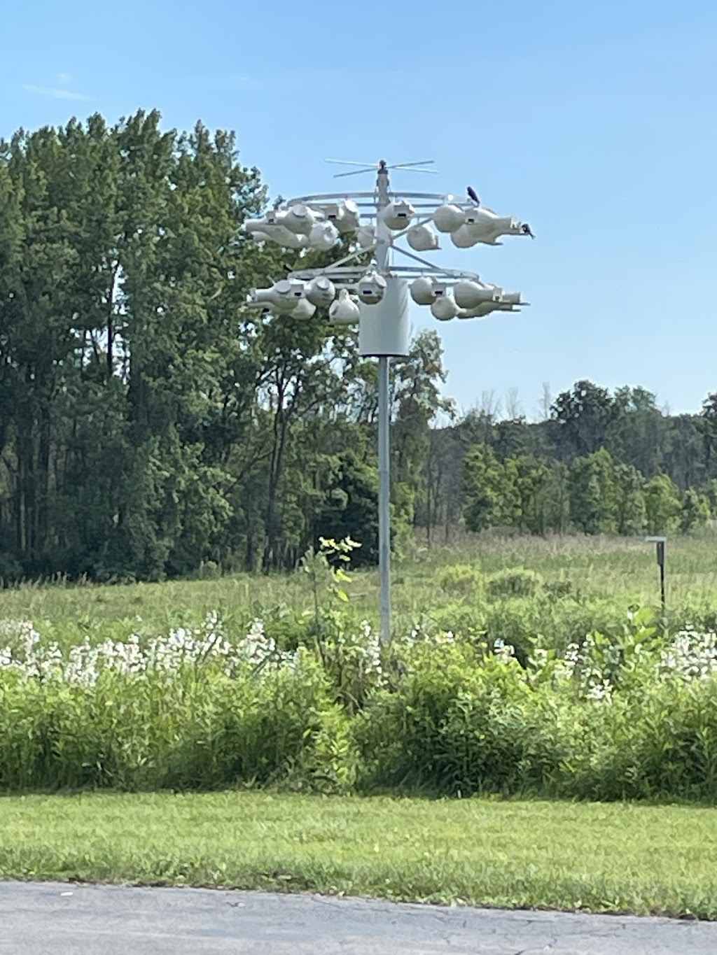 Iroquois National Wildlife Refuge Visitor Center | 1101 Casey Rd, Alabama, NY 14013, USA | Phone: (585) 948-7038