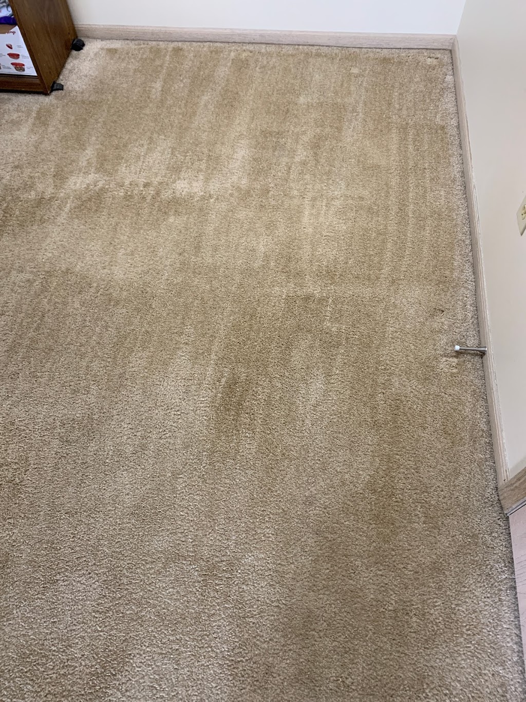 Carpet Pro | 1261 Hudson Gate Dr, Hudson, OH 44236, USA | Phone: (330) 686-5500
