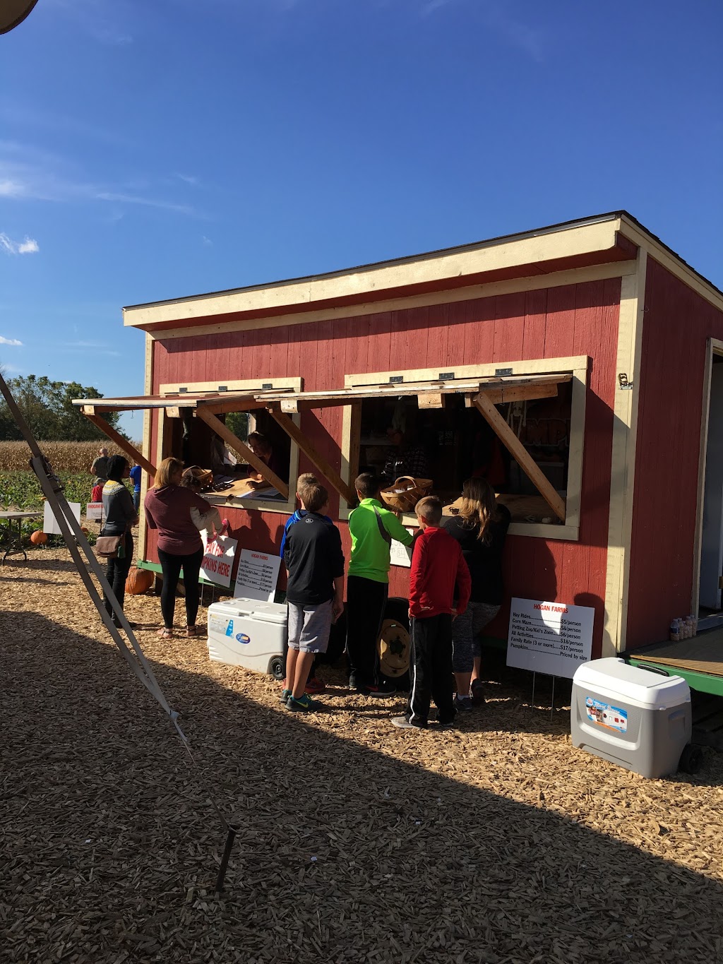 Hogan Farms Pumpkin Patch & Corn Maze | 8900 E County Rd 1000 N, Brownsburg, IN 46112, USA | Phone: (317) 419-0636