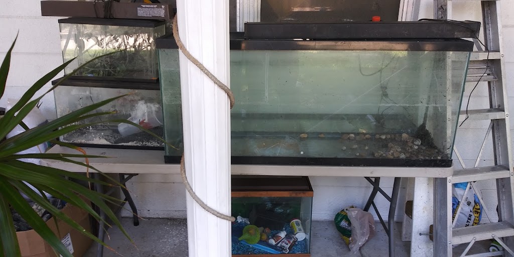 Florida Fish Rescue | 14350 NW 77th Ave, Trenton, FL 32693, USA | Phone: (727) 351-2734