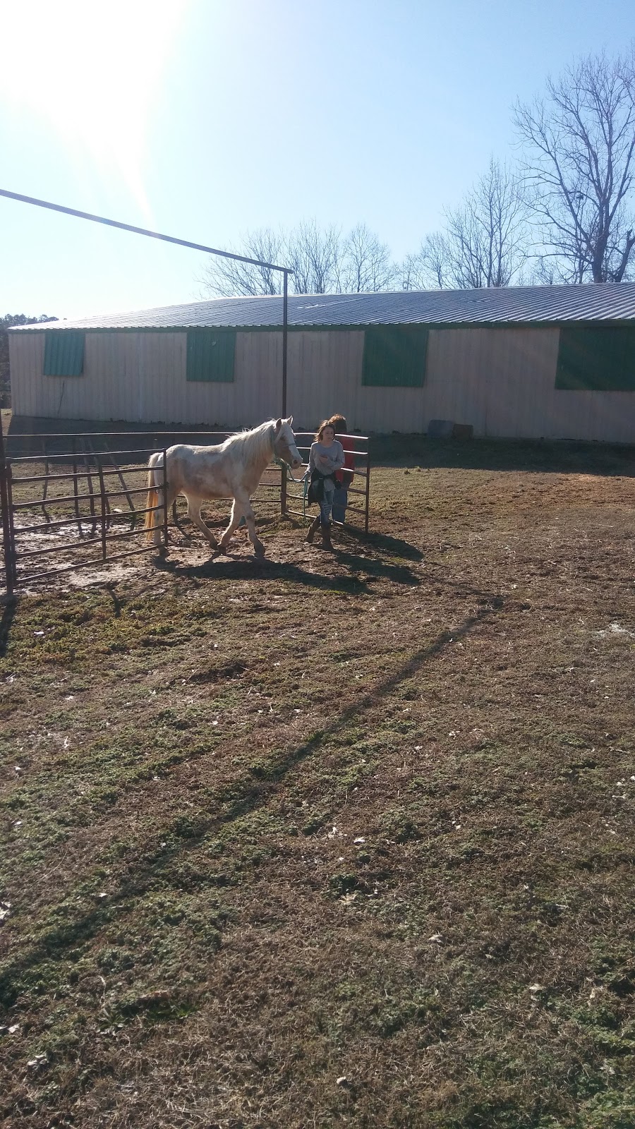 Green Gables Stables | 4346 MS-304, Hernando, MS 38632, USA | Phone: (901) 870-1785