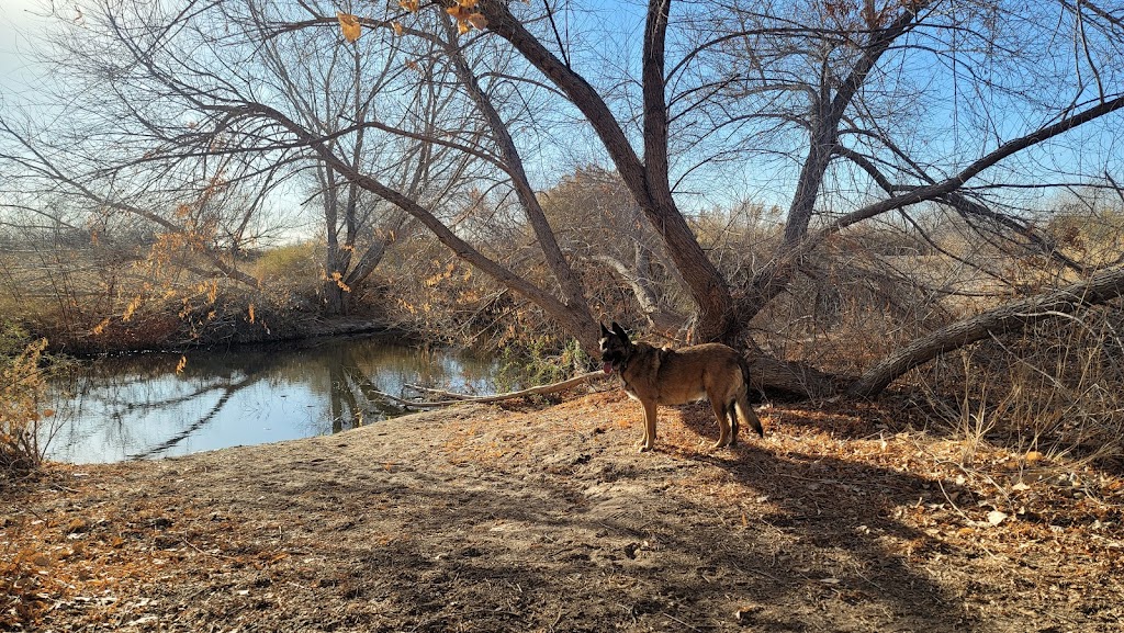 Rio Bosque Park | 10716 Socorro Rd, El Paso, TX 79927 | Phone: (915) 747-8663