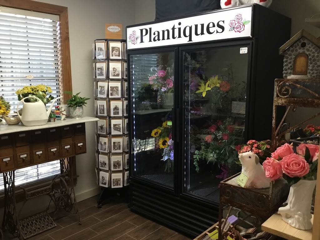 Plantiques Floral | 26121 Levi Ln, San Antonio, TX 78260, USA | Phone: (210) 284-0288