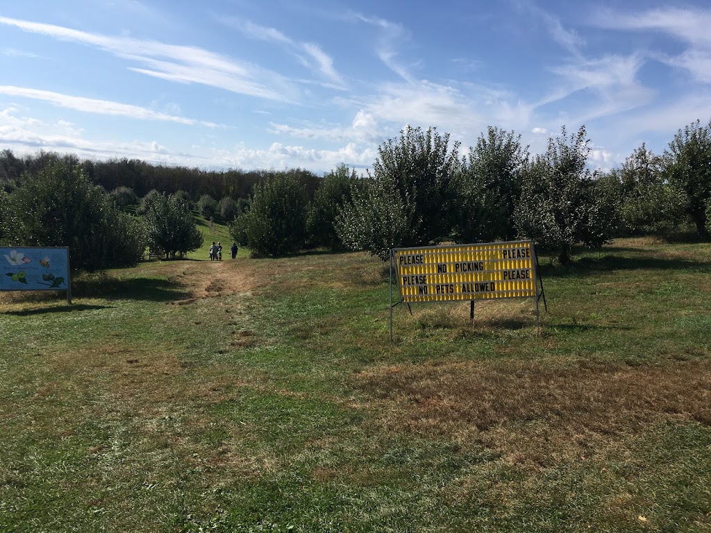 Beckwith Orchards Cider Mill | 1617 Lake Rockwell Rd, Kent, OH 44240, USA | Phone: (330) 673-6433