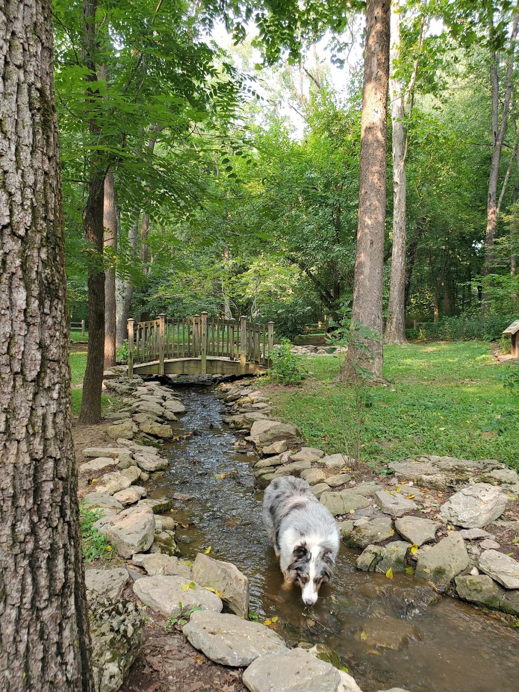 Creasey Mahan Nature Preserve | 12501 Harmony Landing Rd, Goshen, KY 40026 | Phone: (502) 228-4362