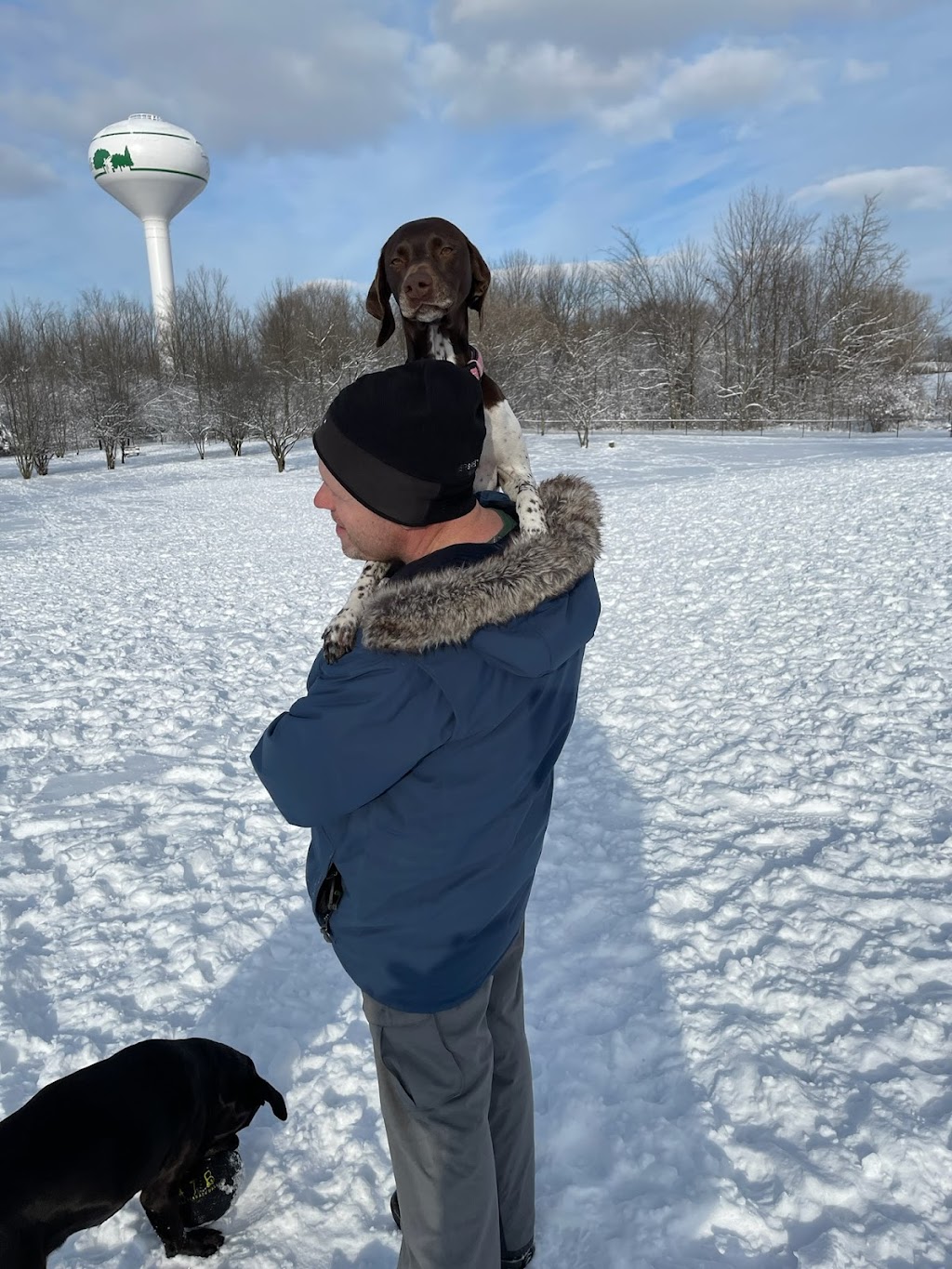 Northville Dog Park | 15801 Beck Rd, Northville, MI 48167, USA | Phone: (248) 349-0203