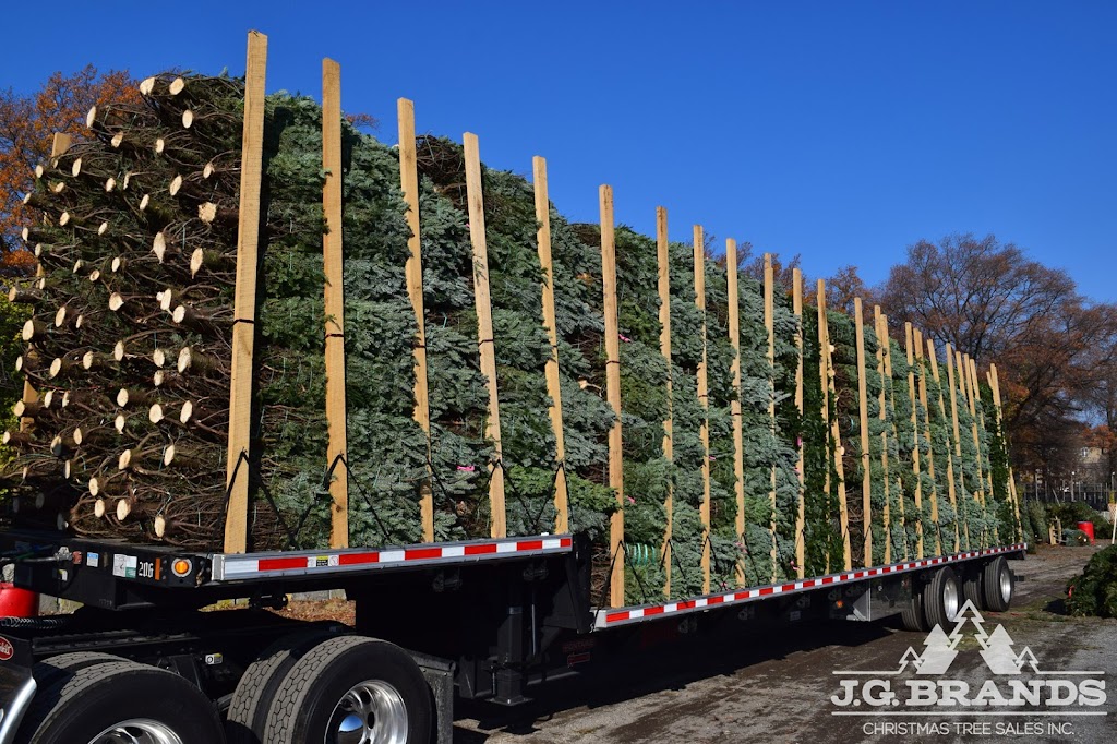 J.G. Brands Christmas Tree Sales, Inc. | 235th Ct &, Hillside Avenue, Queens, NY 11426 | Phone: (718) 464-8653
