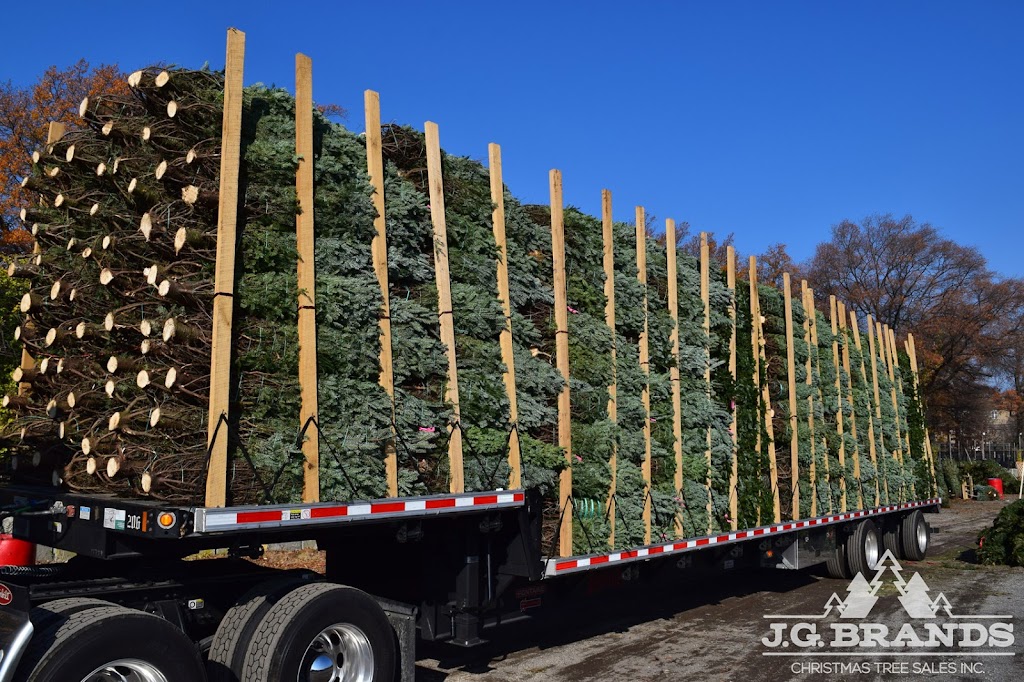 J.G. Brands Christmas Tree Sales, Inc. | 235th Ct &, Hillside Avenue, Queens, NY 11426, USA | Phone: (718) 464-8653