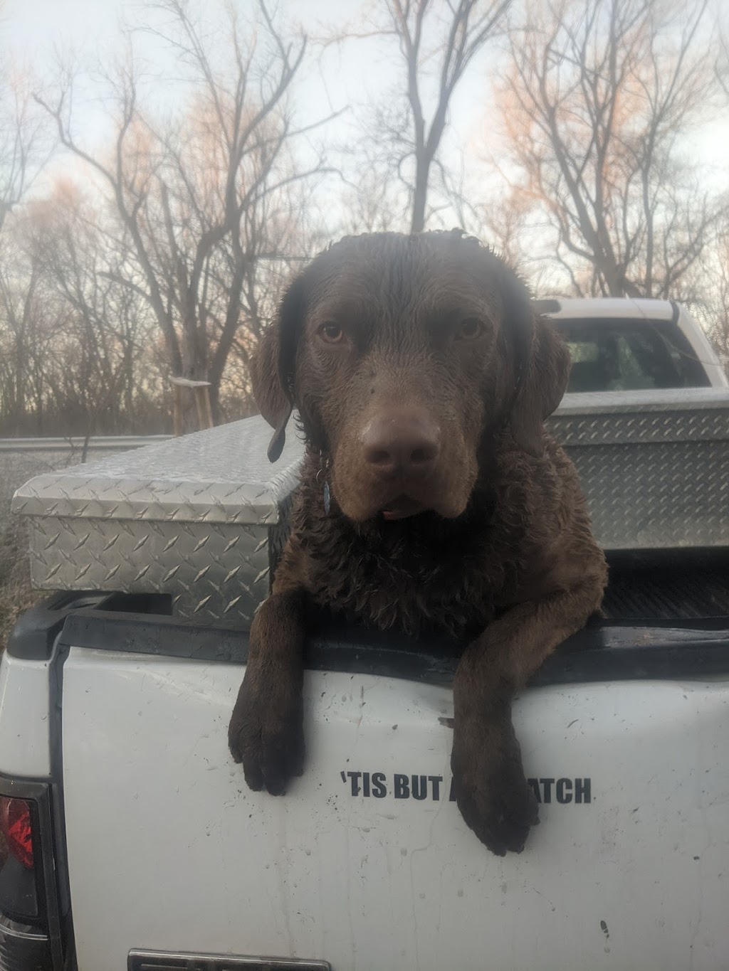 Amber Clean carpet and upholstery cleaning | 208 S Railway St, New Baden, IL 62265, USA | Phone: (618) 588-3692