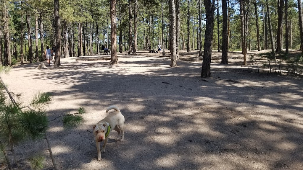 Fox Run Dog Park | Colorado Springs, CO 80921, USA | Phone: (719) 520-7529