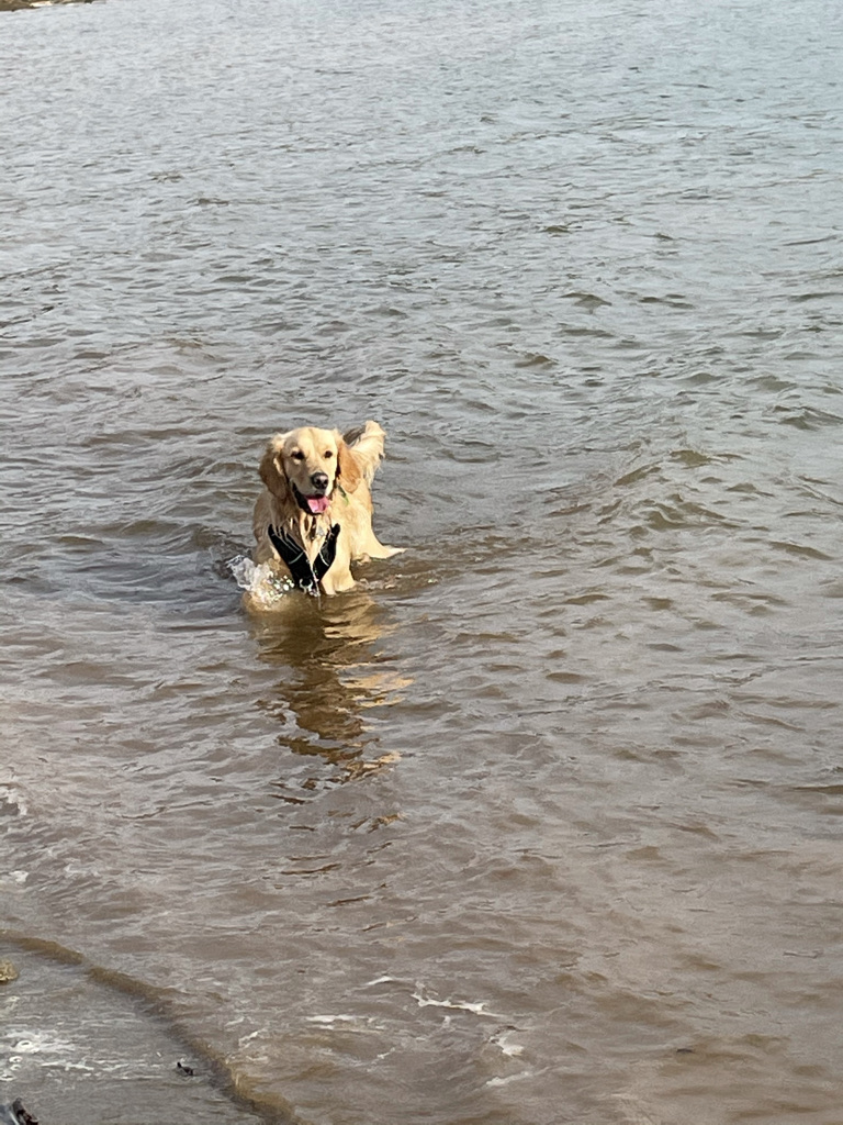 Trailhead to Browns Ravine | 1992 Vista Mar Dr, El Dorado Hills, CA 95762, USA | Phone: (800) 777-0369