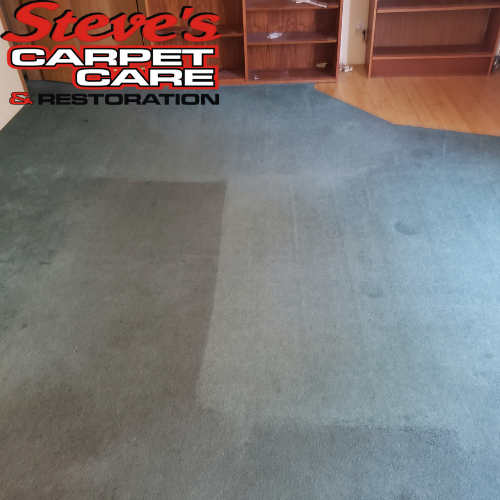 Steves Carpet Care | 7657 W 111th Ave, Westminster, CO 80021, USA | Phone: (303) 530-4900