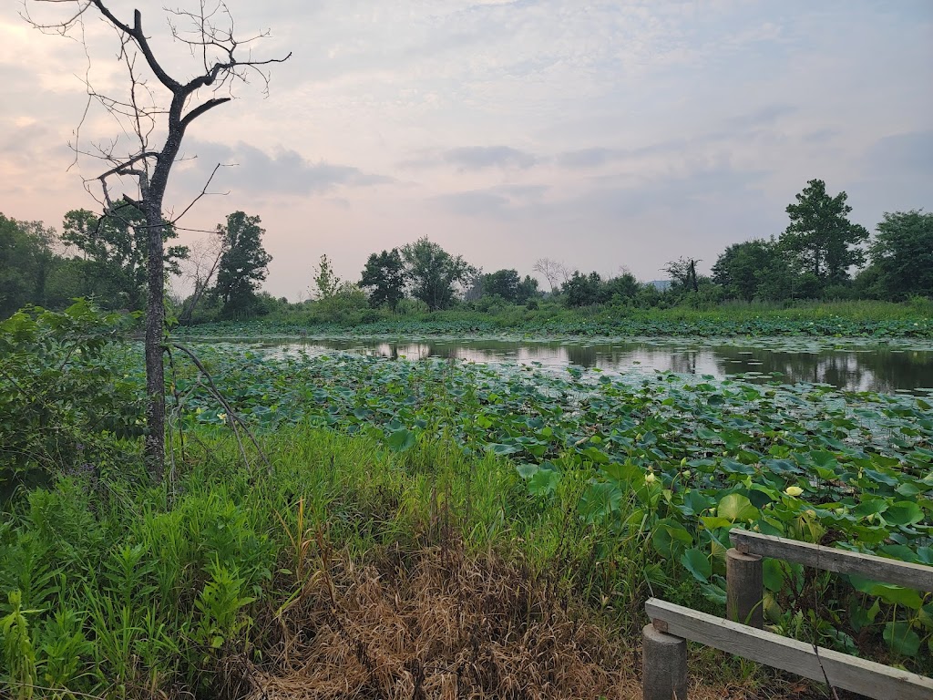 Little Bean Marsh Conservation Area | Unnamed Road, Rushville, MO 64484, USA | Phone: (816) 858-5718