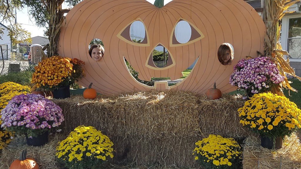 Grobe Fruit Farm Ltd | 43875 Telegraph Rd, Elyria, OH 44035, USA | Phone: (440) 322-8312