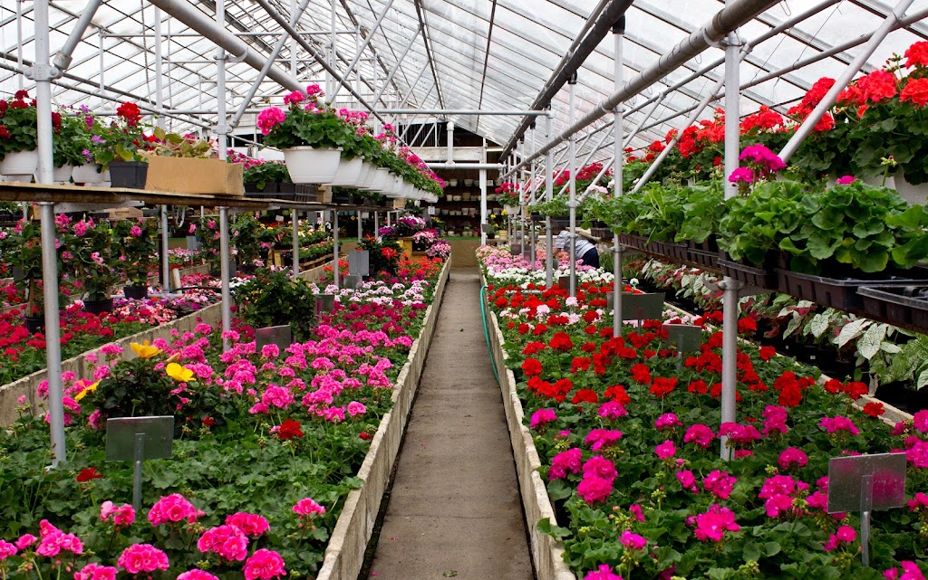 Radebaugh Florist and Greenhouses | 120 Burke Ave, Towson, MD 21286, USA | Phone: (410) 825-4300