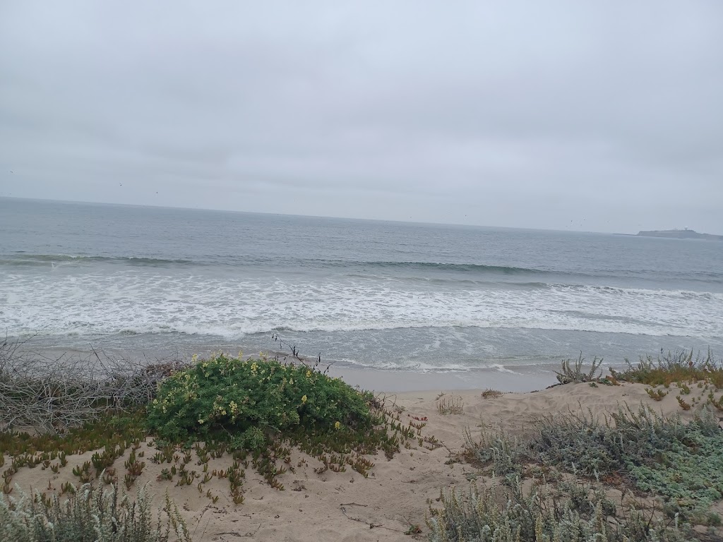 Dunes Beach - Half Moon Bay State Beach | 12 Young Ave, Half Moon Bay, CA 94019 | Phone: (650) 726-8819